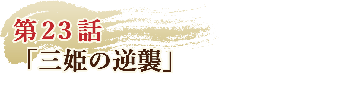 第23話「三姫の逆襲」